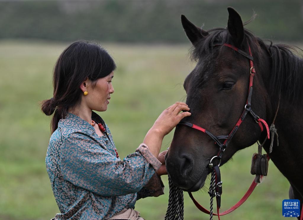 皇冠菠菜公司